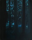 Berthold Bock<br><p class='title'>Mond-Zauberwald</p>, 2012<br>Öl auf Leinwand<br> 60 x 50  cm